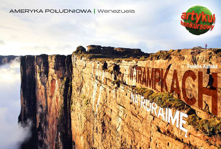 Losowy darmowy artykuł